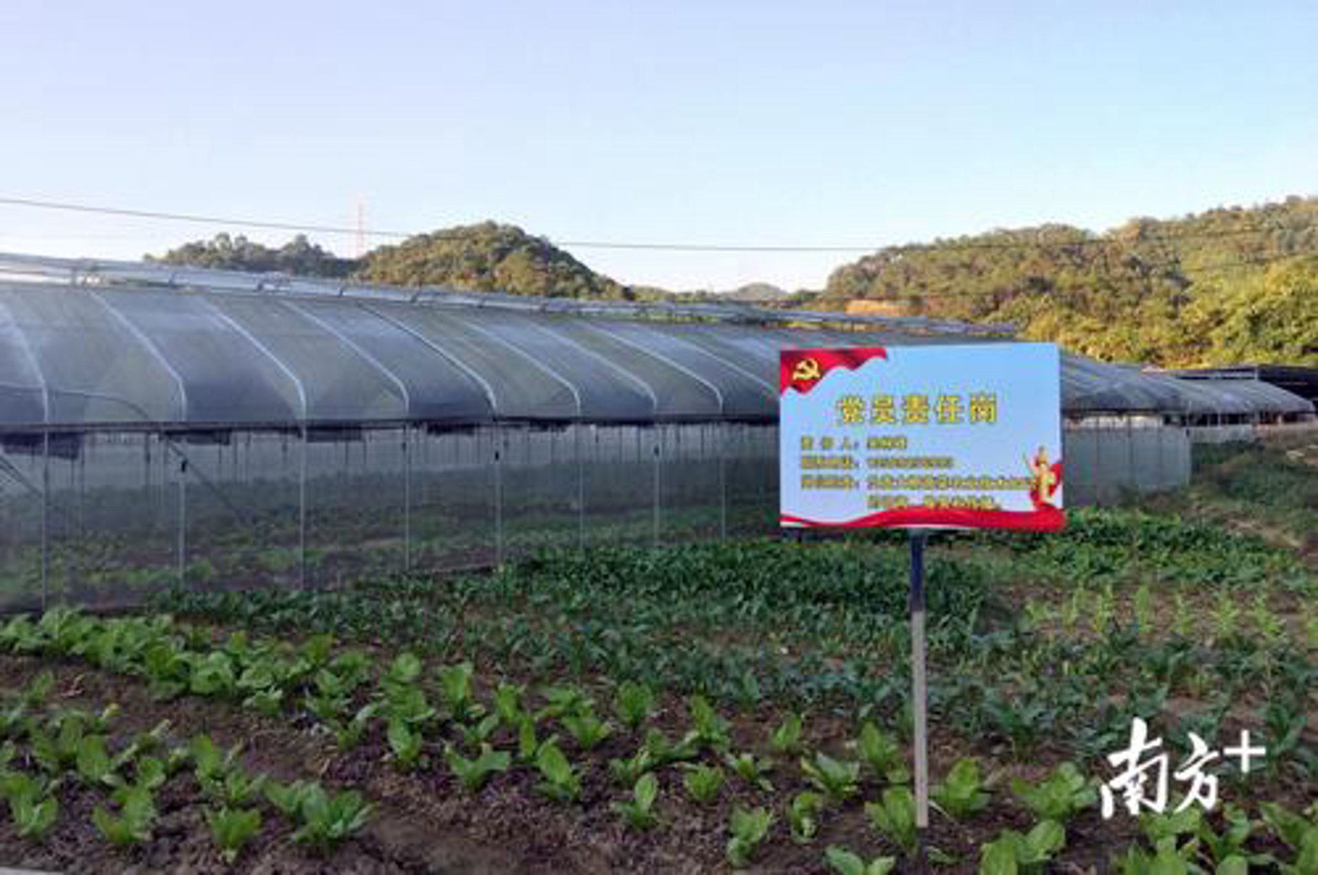 金源苗木基地