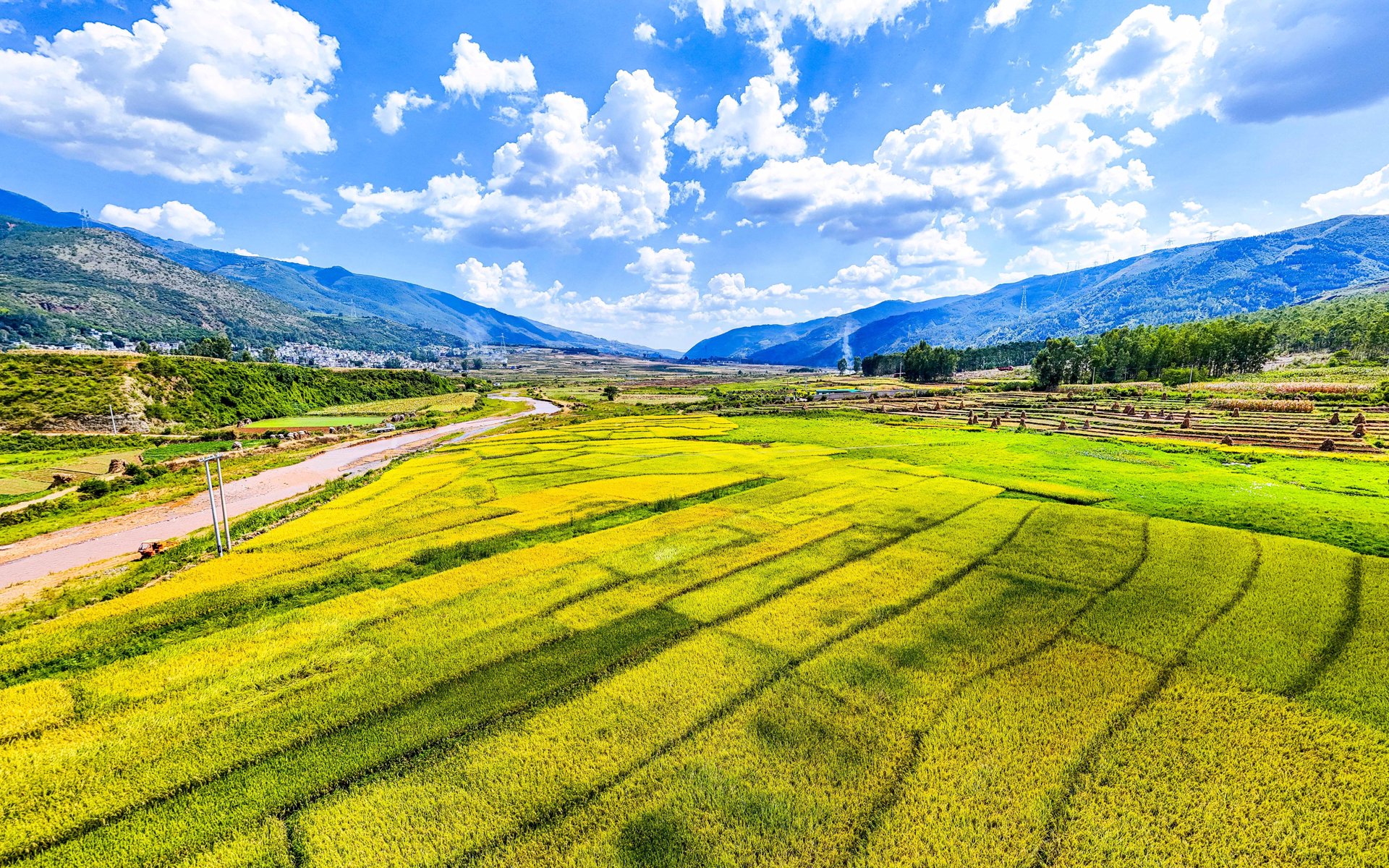 金源苗木基地