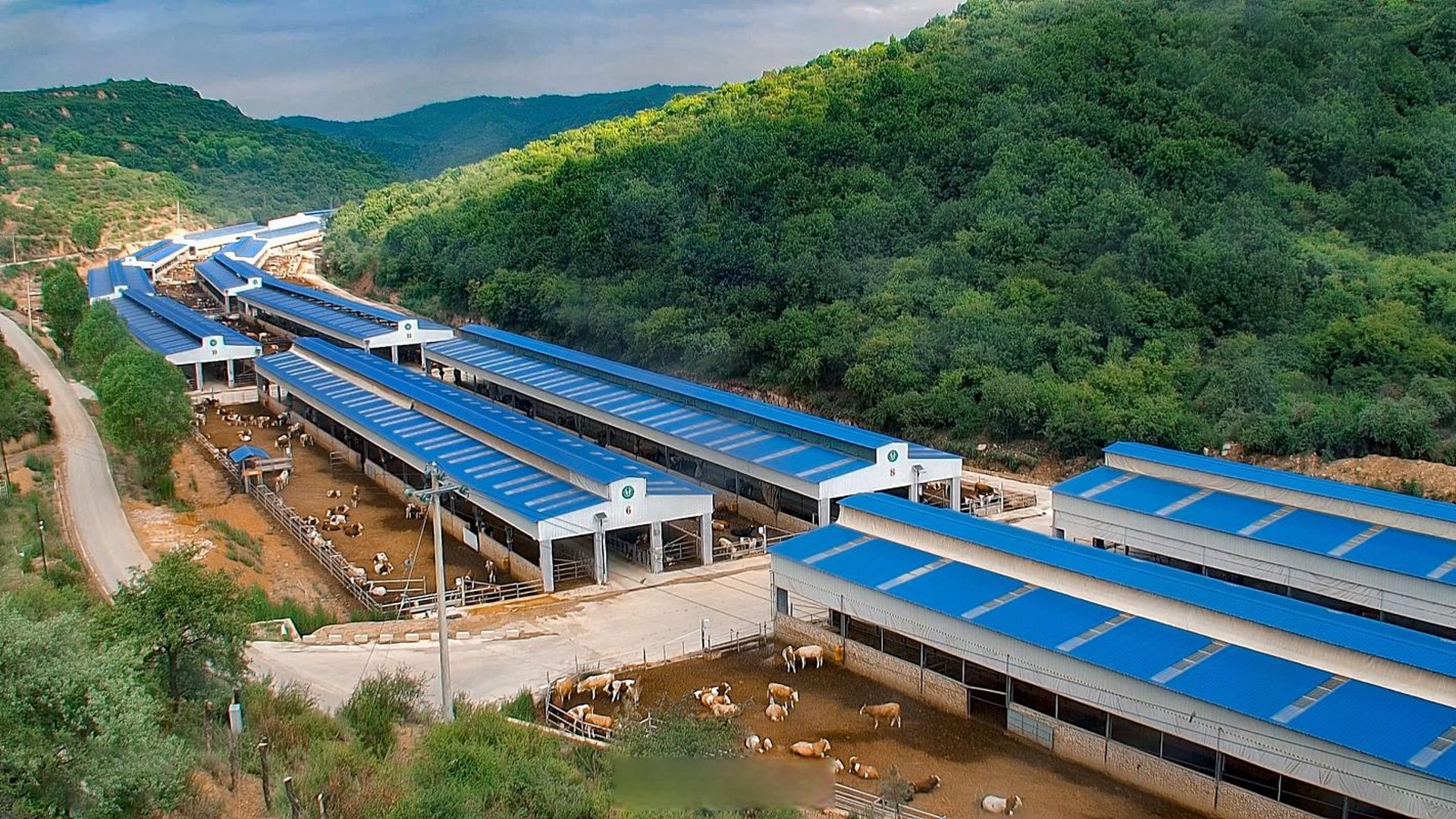 金源苗木基地